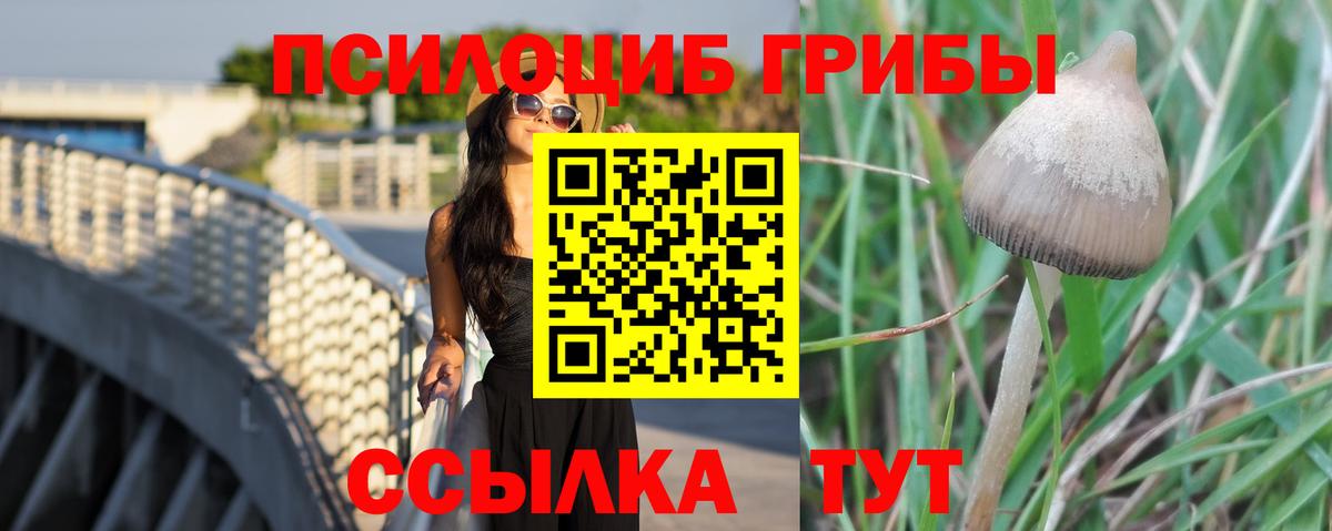 Электросталь  Псилоцибиновые грибы MAGIC MUSHROOMS  Вход с VPN  Галлюциногенные грибы GOLDEN TEACHER 